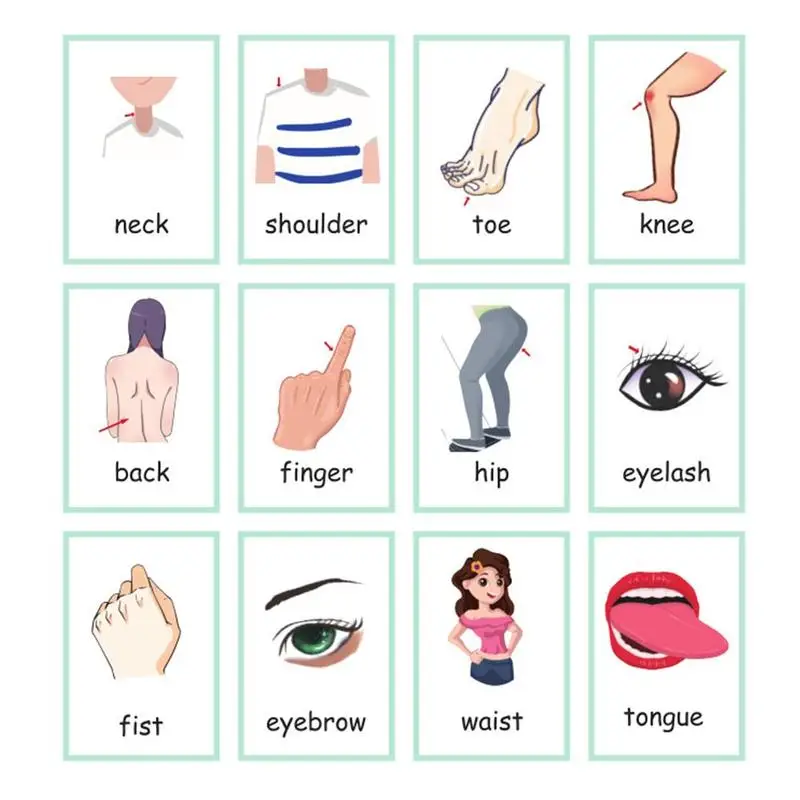 1/2 листа детали для тела английская флеш карта детей детские карты Детские слова