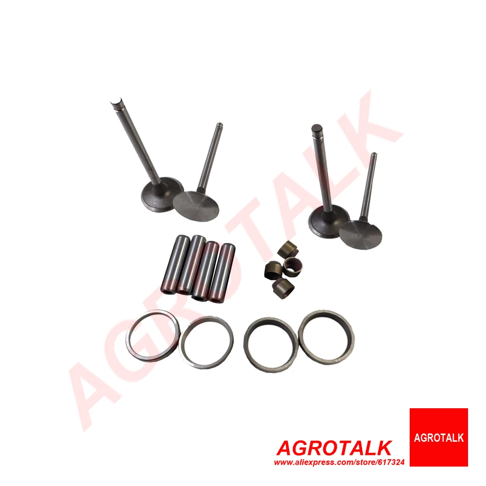 Set of intake + exhaust valves valve guides seals seats for Taishan Feidong FD295T / FD2100T TS tractors | Инструменты