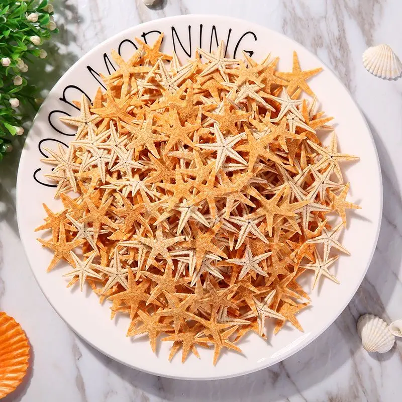 Natural Shell Ornaments Resin Starfish Ornaments Mini Real Starfish Craft Decoration Natural Sea Stars DIY Beach Cottage Wedding Decor sea shells party sea conch