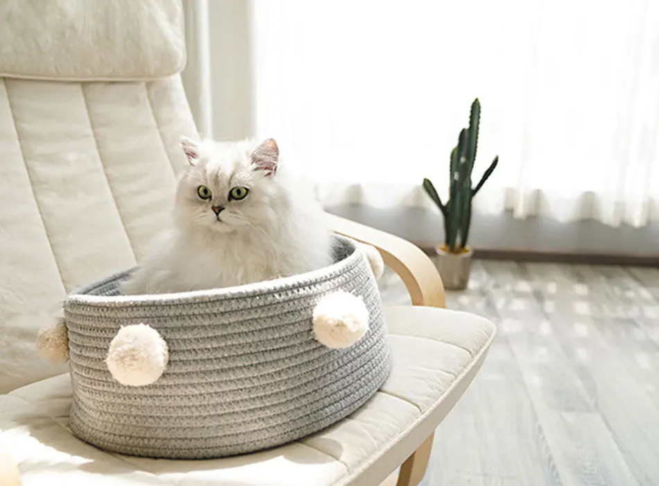 Weave Cat Bed House Dog Bed For Small Dogs Cat Basket Pompon Decorate All Seasons Sleeping Bed Puppy Mat Supplies Pet Rest House-33
