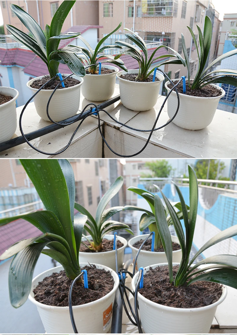 HTB1Ms7_X0bJ8KJjy1zjq6yqapXaS