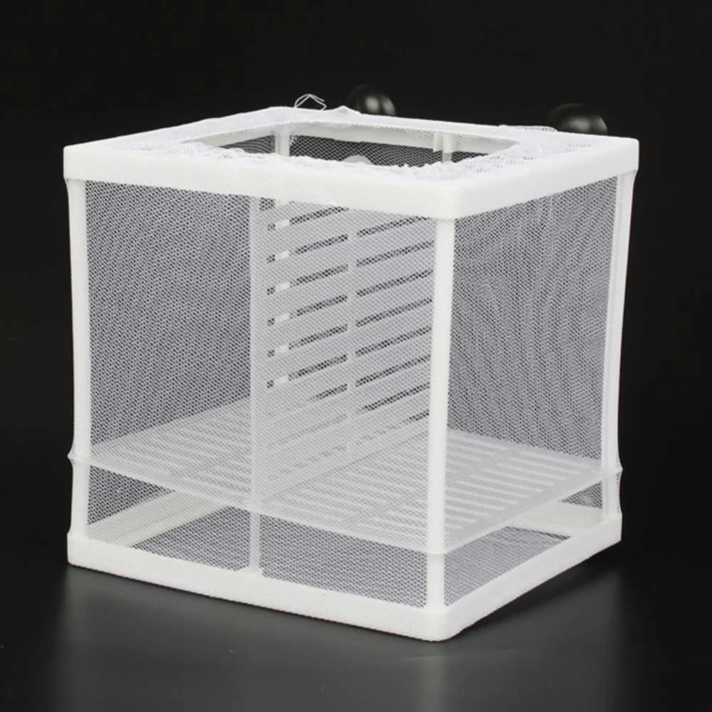 308204_no-logo_308204-1-08-g