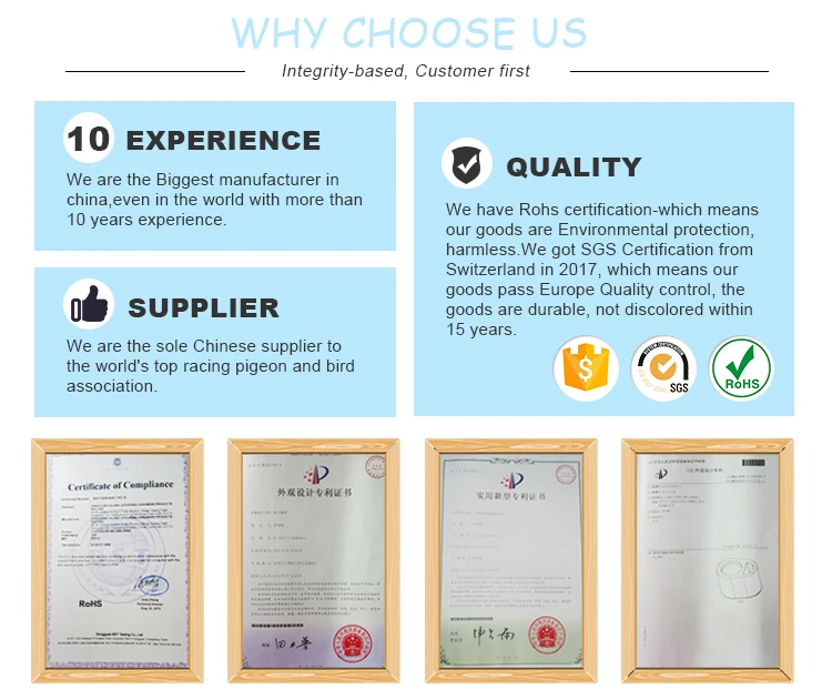 why choose us
