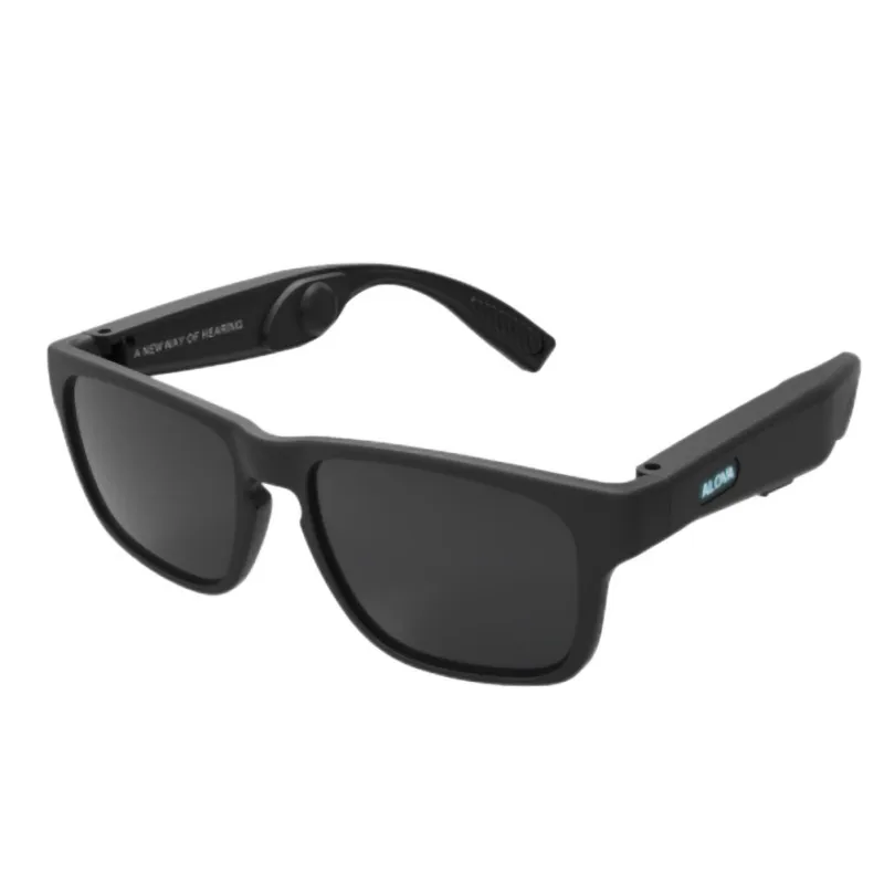 2 Set Accessories: 1 Set Smart Translator Device 