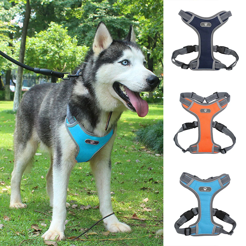 extra large dog vest