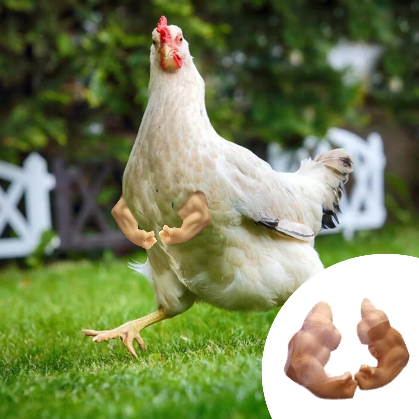 Chicken T Rex Arms 3d Print Quick Delivery Construindocasas br Chicken T Rex Arms 3d Print Quick Delivery Construindocasas br