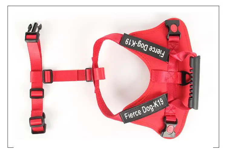 14416636284_1937179884