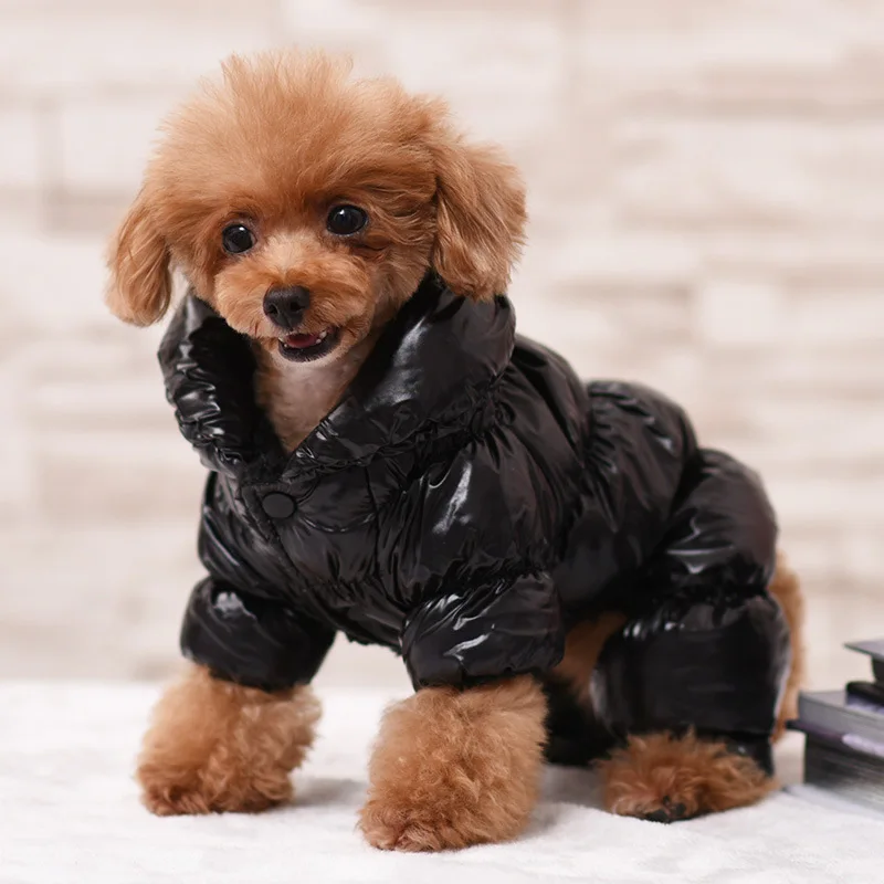 Водонепроницаемая одежда для домашних животных, зимний комбинезон для собак, комбинезоны, пальто для маленьких и средних собак, плотная одежда, теплая одежда для домашних животных 10A - Цвет: Черный