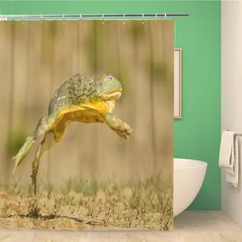

Bathroom Shower Curtain African Bullfrog is Carnivorous and Voracious Eater Eating Insects Polyester Fabric 72x78 inches
