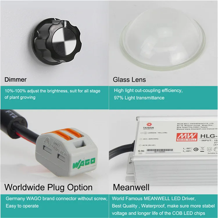 规格书双孔带logo_05