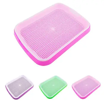 

Double-layer Plant Seed Sprouter Germination Tray for Garden Greenhouse Beans Peas Mung Wheat Grass Alfalfa
