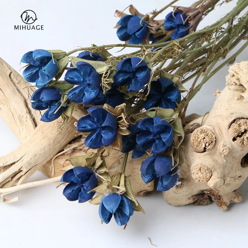 

MiHuaGe 100g/Bunch Octagonal Pistachios Preserved Flower Natural Dried Flowers Party Home Decor Home Valentine'S Day Decor