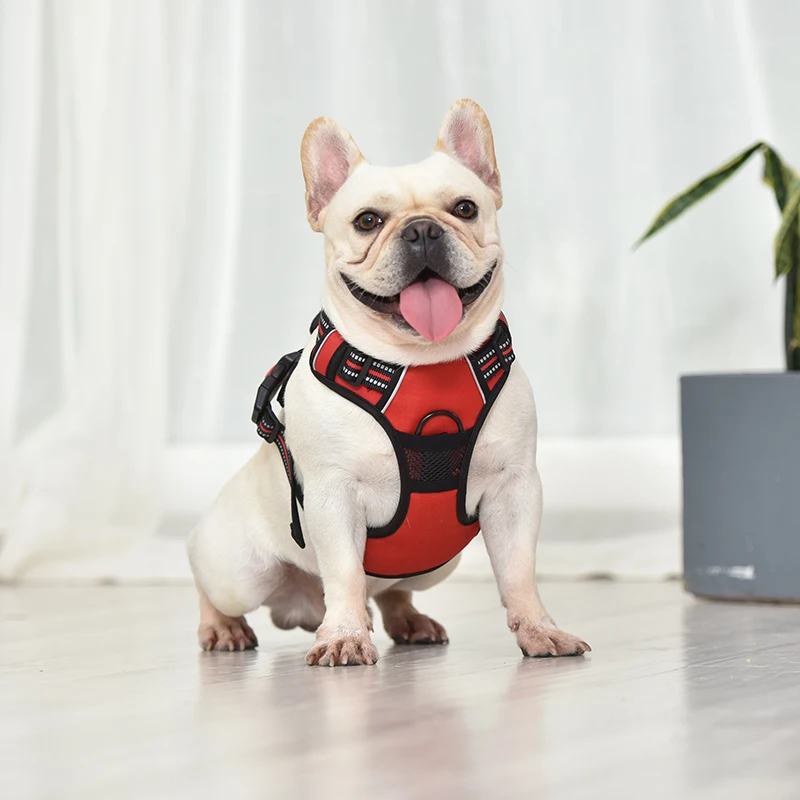 Hc844b141b8c94330b777bfc9d8fa44d99