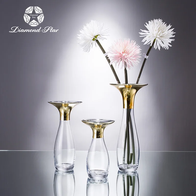 

Diamond Star Modern Minimalist Glass Vase Lucky Bamboo Transparent Grow in Water Flower Holder Home Decoration Crafts Wholesale