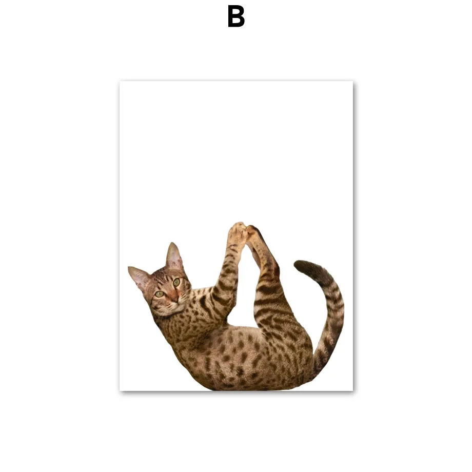 Wall-Art-Canvas-Painting-Funny-Cat-Gymnastics-Kitty-Nordic-Posters-And-Prints-Wall-Pictures-For-Living (5)