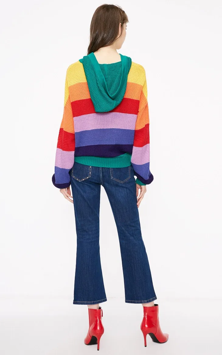 Только зима Raibbow цвет с капюшоном полосы женский свитер | 118324601