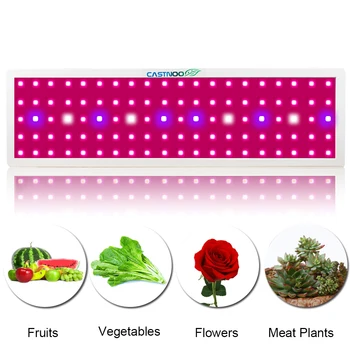 

CASTNOO LED Grow Light 1000W Volledige Spectrum Kweeklampen Voor Medische Bloem Planten Vegetatieve Indoor Kas grow