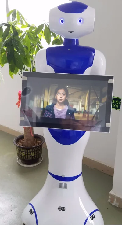 Customize dialogues WIFI 4G Bluetooth smart Humanoid reception Robot