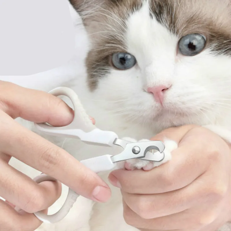 Trimmer Nail-Clippers Claw-Scissors Pet-Grooming-Products Cats Professional for Small