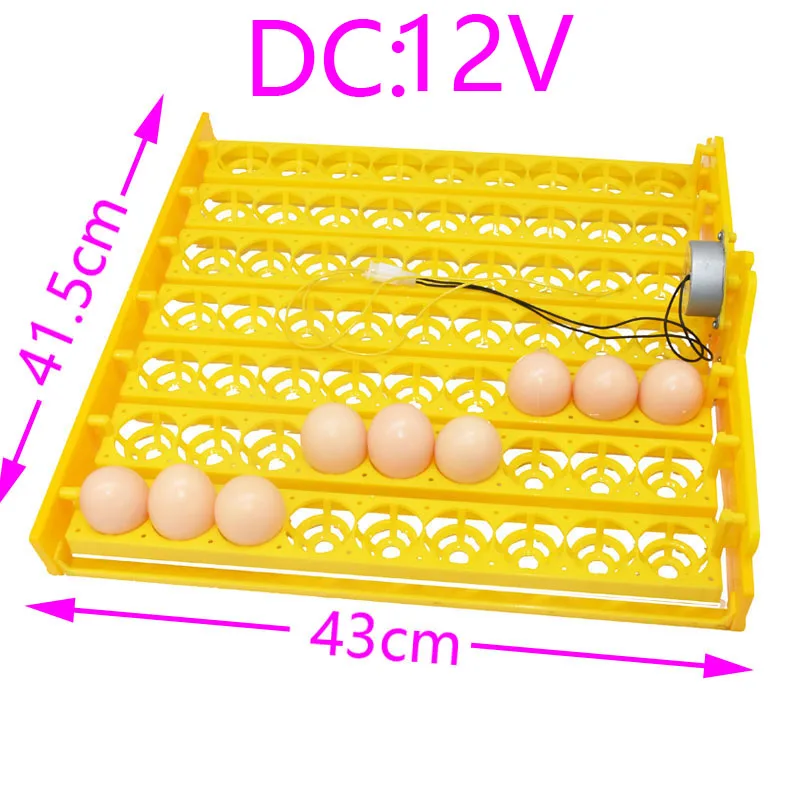 12V