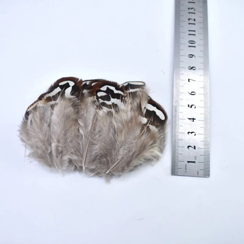 Natural ostrich Pheasant feathers for crafts DIY peacock feathers for jewelry making Home party decoration plumas ostrich feathers pheasant feathers natural feathers craft feathers peacock feather decoration