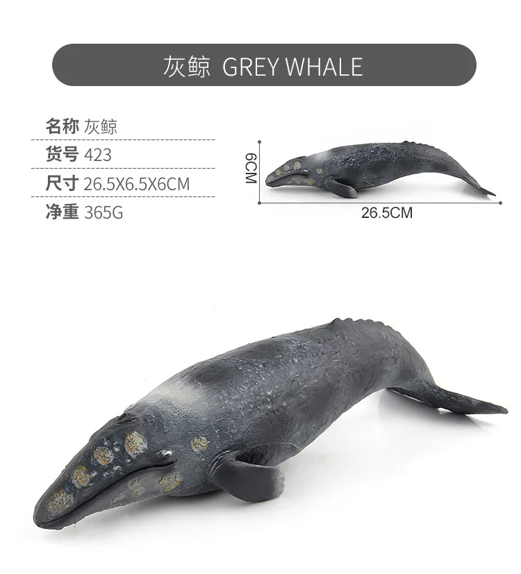 9940244557_1750629642