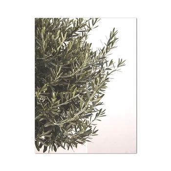 Olive Tones 1 - Greek Print Collection 1