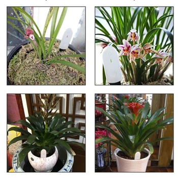 

New Plastic Global Version Flower Monitor Garden Plants Gross Water Soil Nutrient Smart Digital Detection Flora Tester Sensor