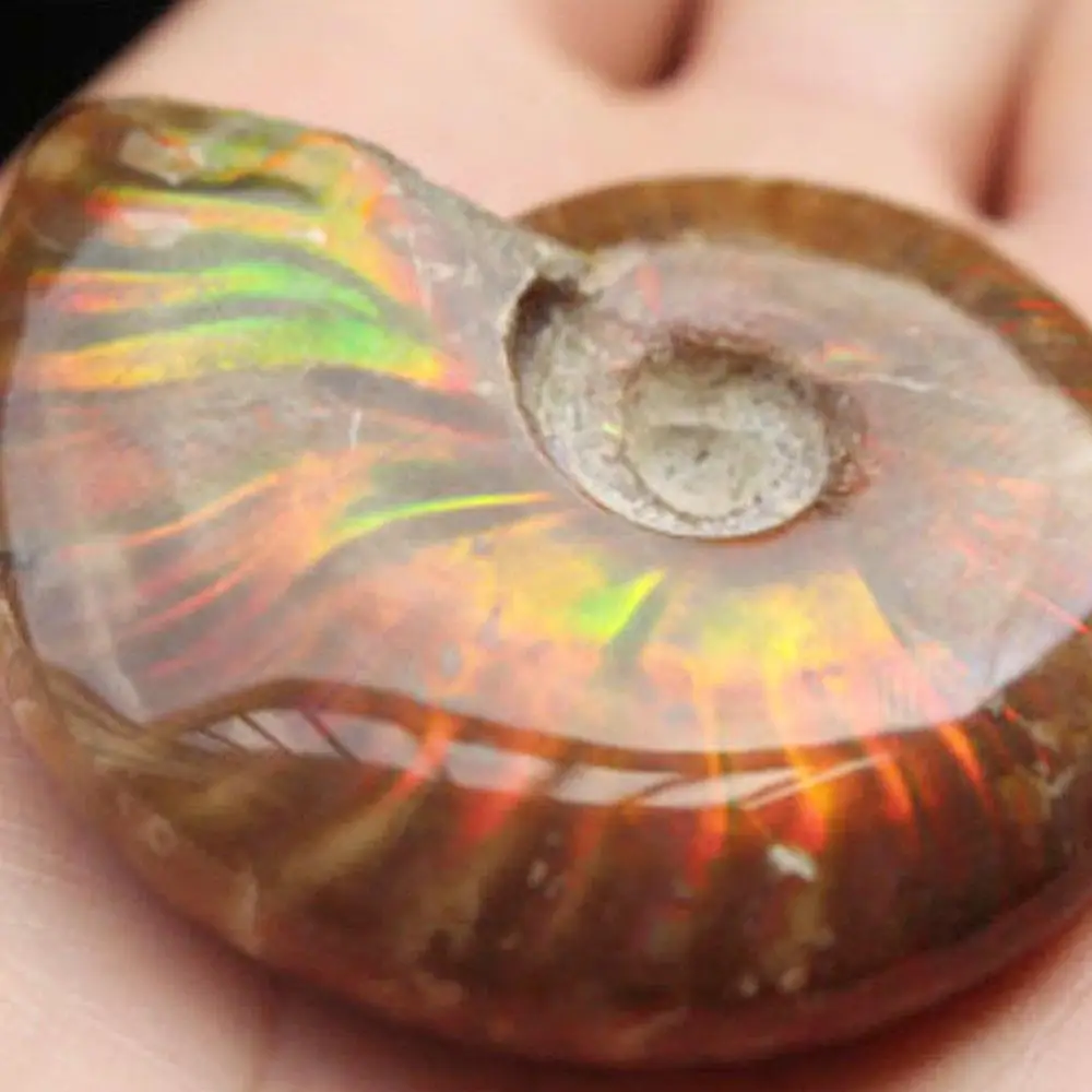 Радужный образец драгоценного камня украшение из ожерелье подвеска натуральный