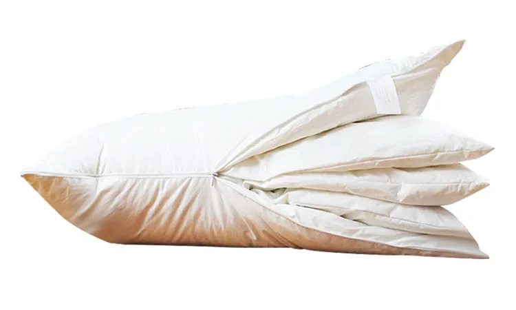 10231761964_592466448