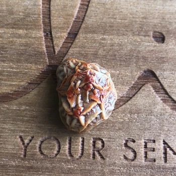 

Natural stone raw agate Silk Road Collectibles unique collection