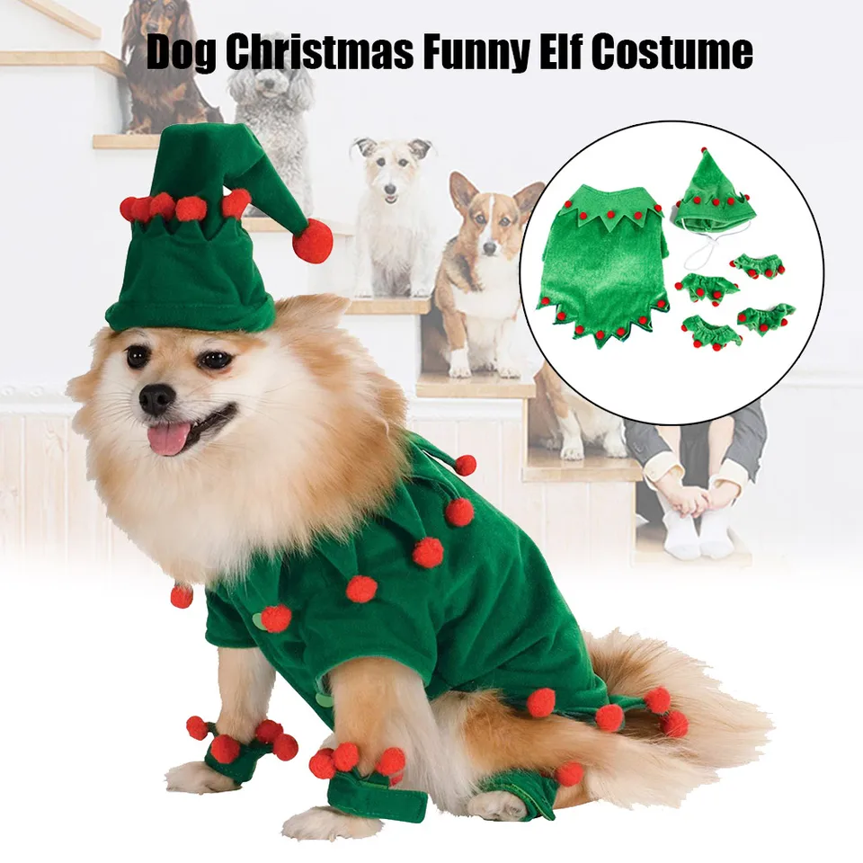 dog christmas outfit
