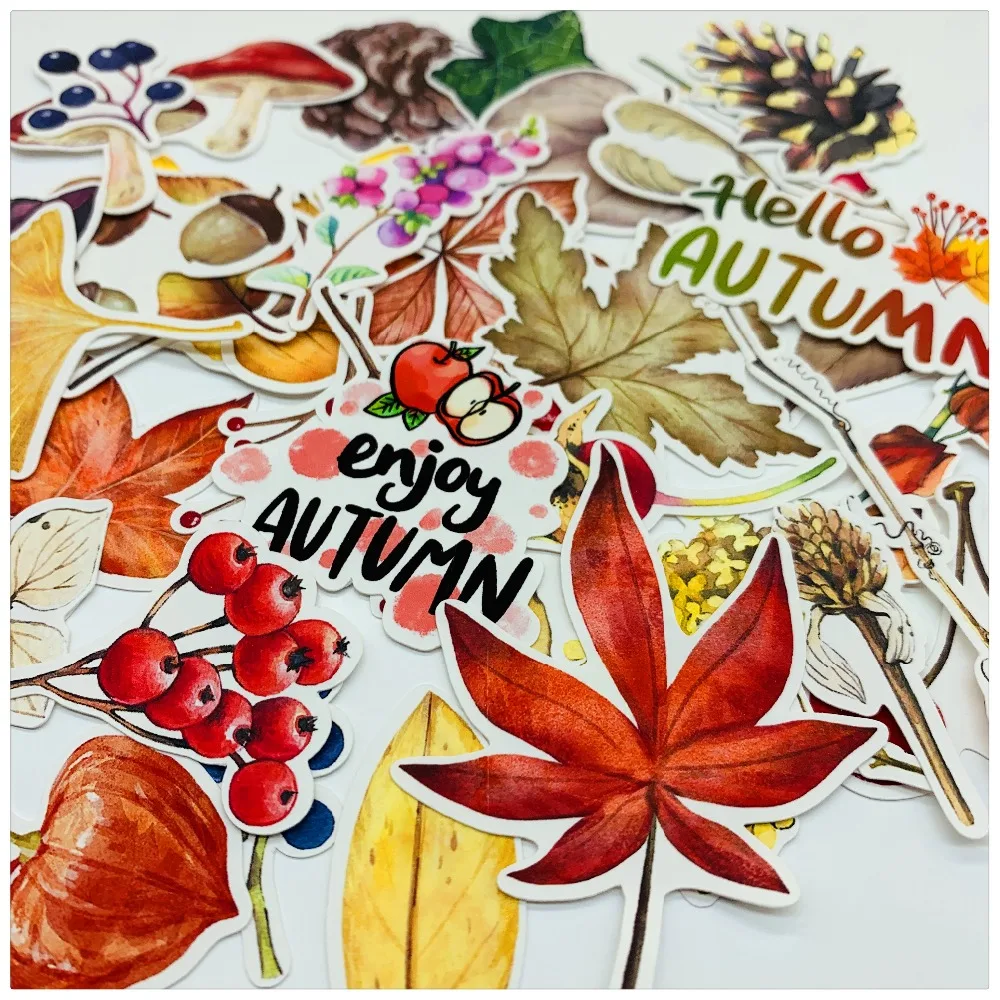 O1CN01swXRYb29xQ9XONoqK_!!1807168134