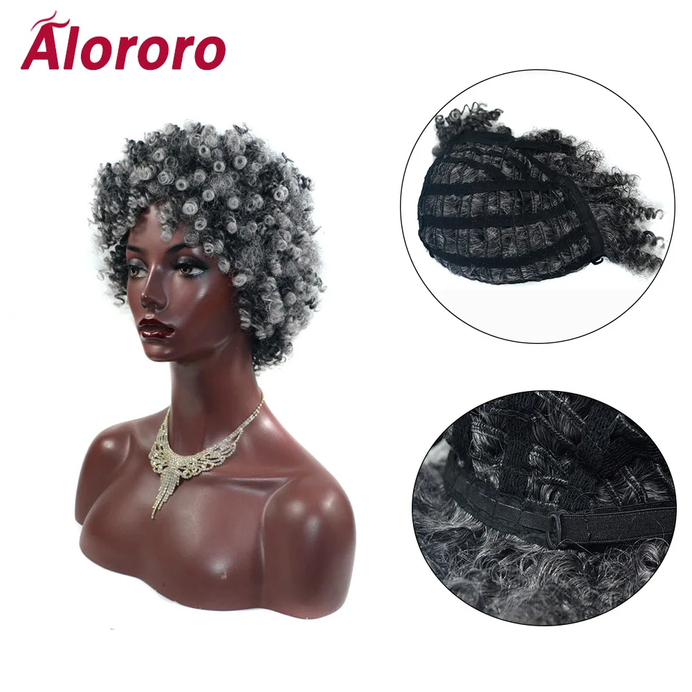 

Alororo Women's Fulffy Short Curly Hairstyle Synthetic Wigs Hair 20cm Gray Extension Wigs for Black Women Life Natural Hair