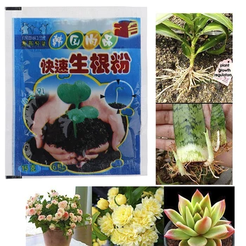 

10Bag Bonsai Plant Rapid Growth Root Medicinal Hormone Regulators Aid Fertilizer