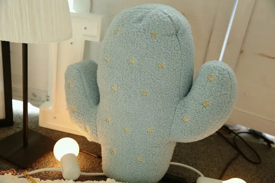 8668260808_847463808