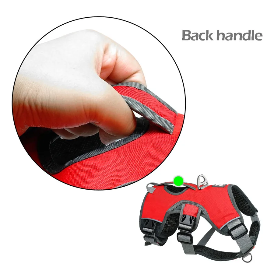 HTB1mGYvKb9YBuNjy0Fgq6AxcXXaK