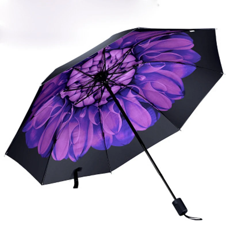 4427850198_157747136