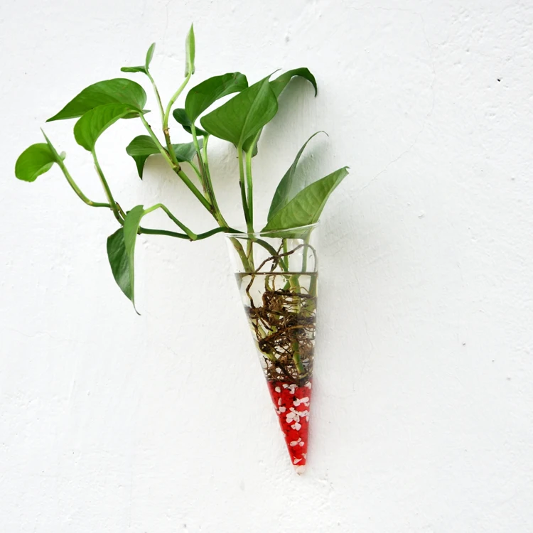 Circular Cone Glass Wall Hanging Vase Bottle for Plant Flower Decor Clear Wall Planter Home Hotel Restaurant Decor