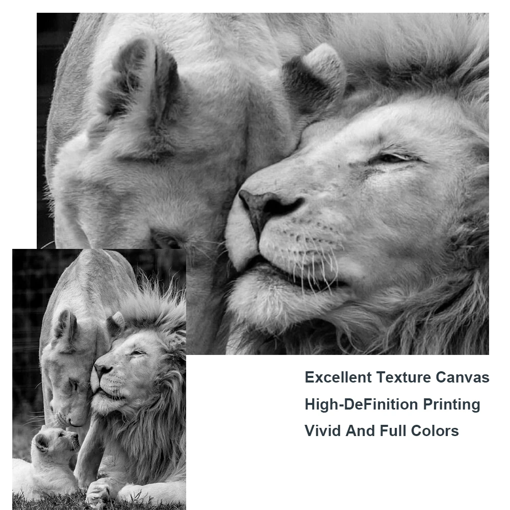African-Lions-Family-Black-And-White-Canvas-Art-Posters-And-Prints-Animals-Canvas-Paintings-On-the (5)