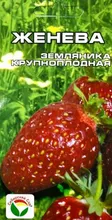 Женева Земляника СС 10шт Сибирский сад Женева Земляника СС 10шт Сибирский сад