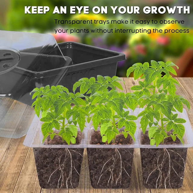 10Db Ültetési Vetőmag -Indító Tálca Készlet Csírázási Doboz Kertészkedés Bázis 12 Cella Kertészeti Bonsai - Image 4