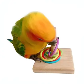 

2020 New Wooden Bird Parrot Platform Plastic Ring Intelligence Training Chew Toy