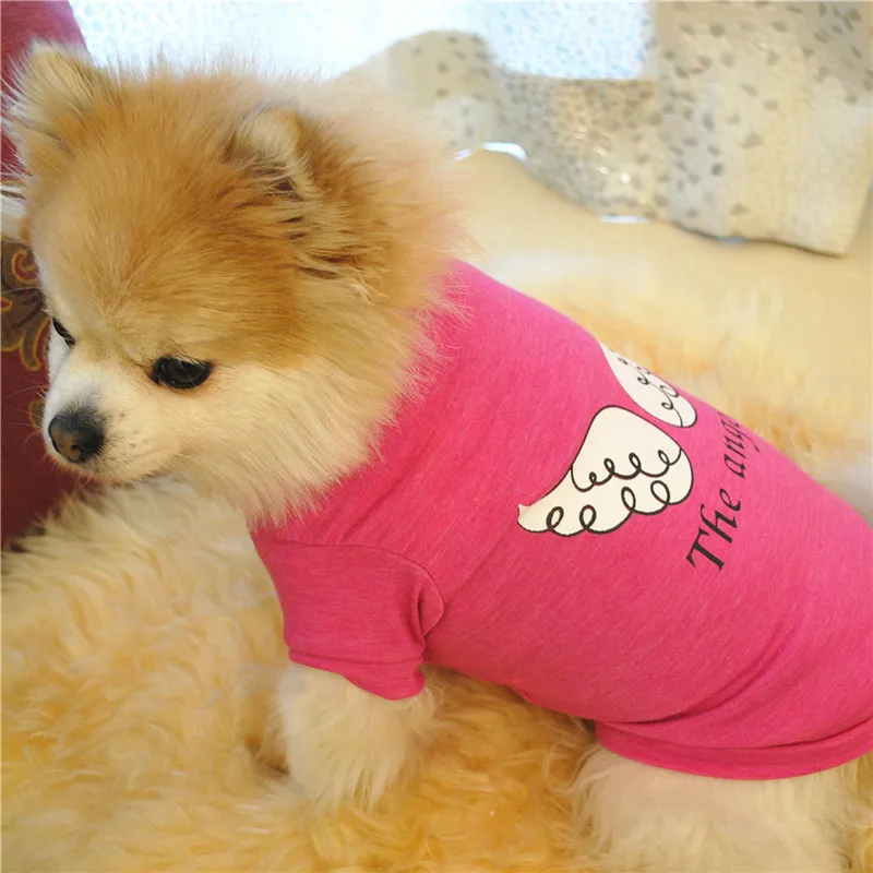 Новинка; Модная одежда для собак; сезон весна-лето; Roupa De MascotasThe Angel; жилет без рукавов; футболки; Одежда для маленьких собак и щенков