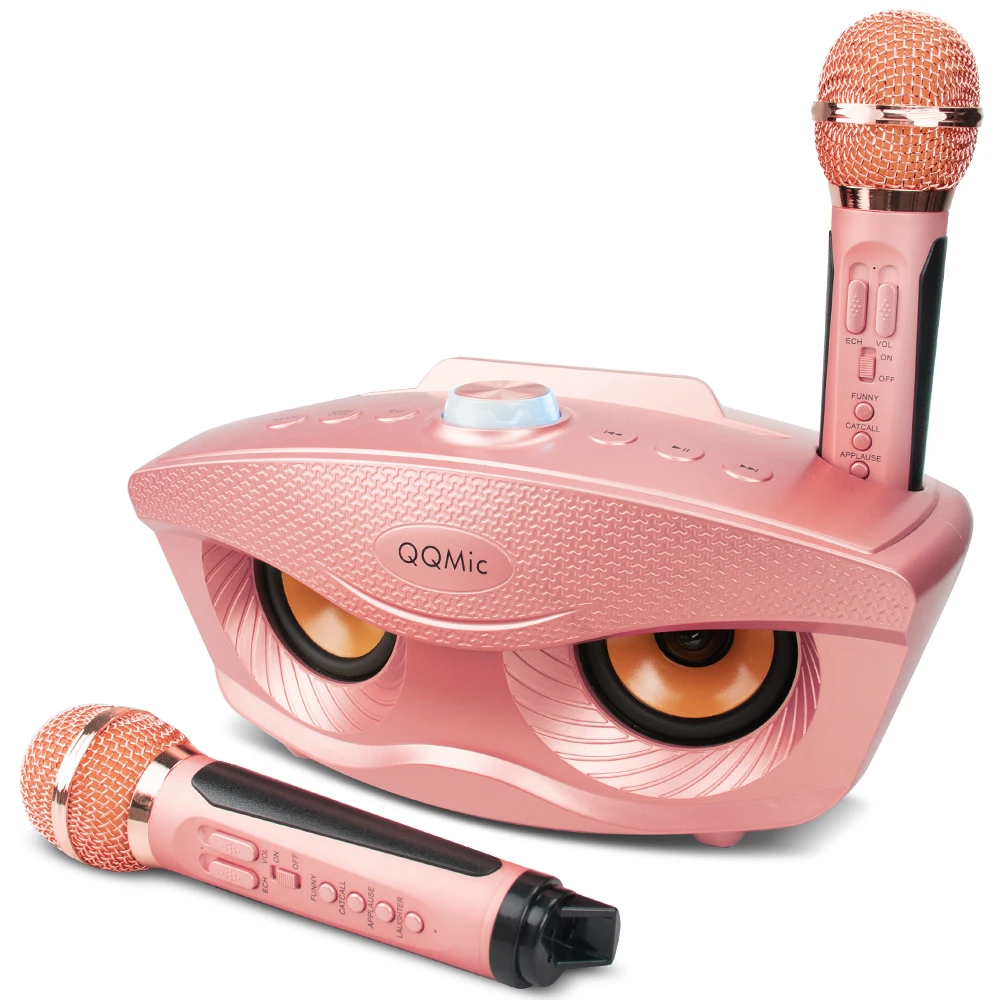 portable speaker with 2 microphones