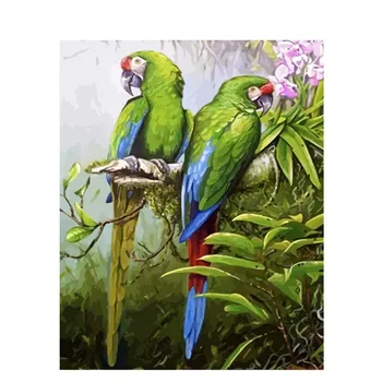 

Parrot Painting By Number Animal DIY Craft Kits Acrylic Paint For Adults Drawing Picture By Number Coloring With Frame 40x60 Art