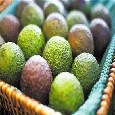 Распродажа Акция 2 шт Редкие мини-растения авокадо вкусные груши фруктовые растения легко растут для домашнего сада зародыши бонсай - Цвет: 1