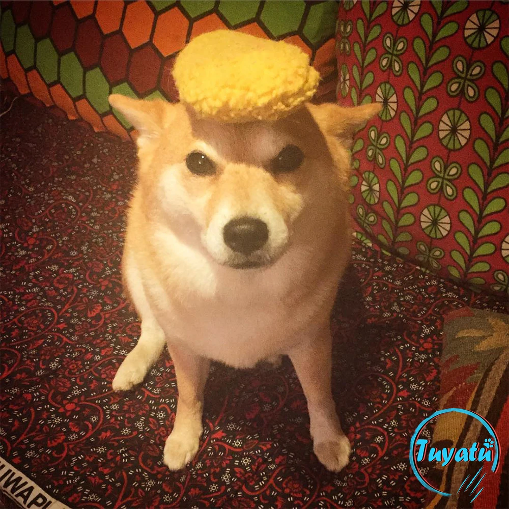 Tempura интерактивные игрушки для собак больших маленьких Kawaii милые умные пищащая
