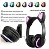 Portable Audio 