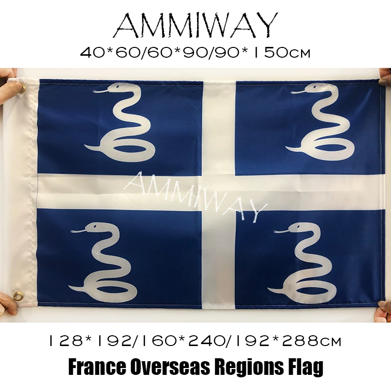 Ammiway France Mayotte (local) Flags And Banners France Overseas Regions  And Collectivities National Polyster French Flag - Flags - AliExpress